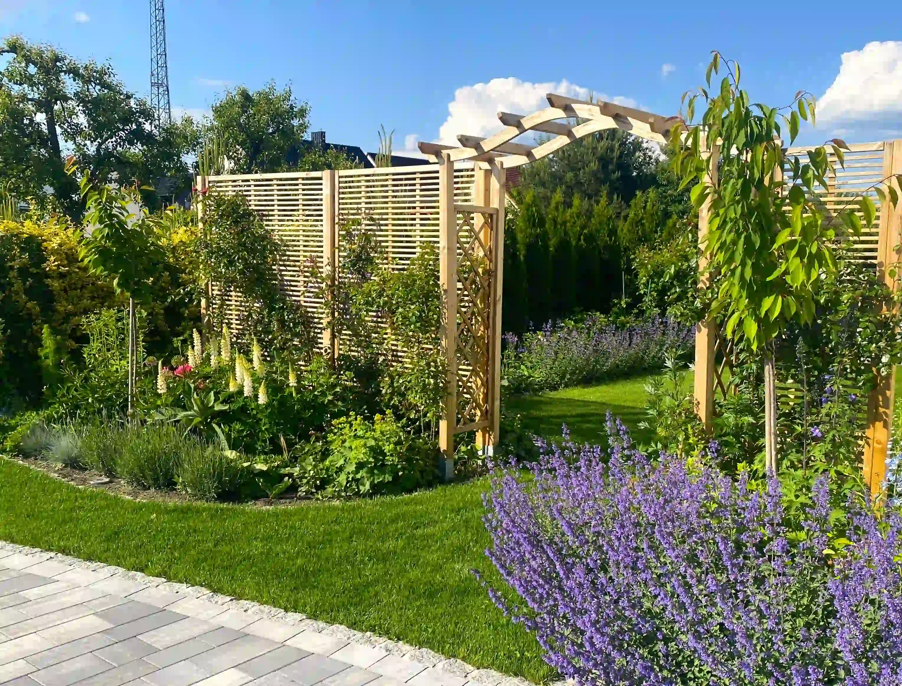  Pergola_Dover_i_kratki_Oslo_-_Magdalena_Rydzanicz