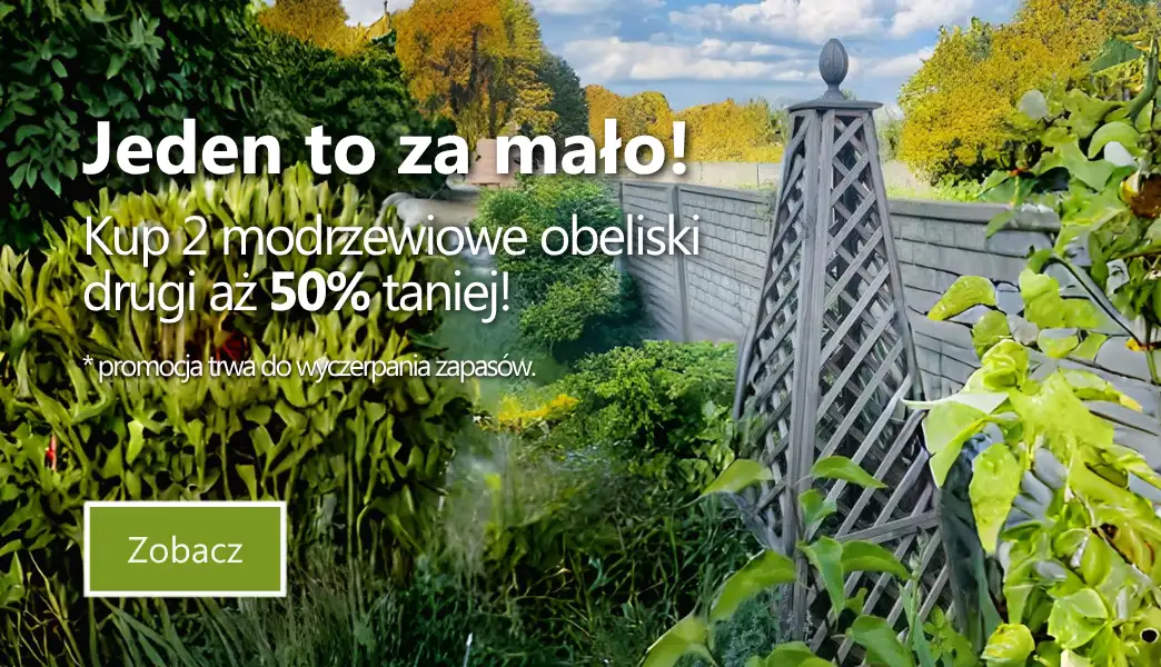 PL 1 Promocja do 50% na modrzewiowe obeliski 