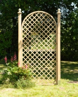 Kratka angielska z łukiem Róża