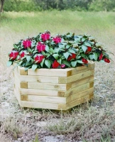 Donica sześciokątna