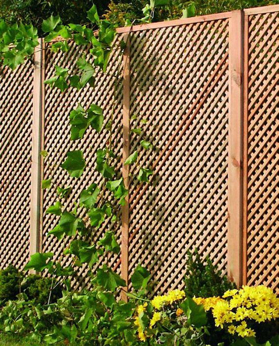 Gęsta kratka ogrodowa Clementine jako ogrodzenie 